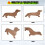 Prato de Jantar de Cachorro Dachshund de 15,7 Polegadas TáBua de Queijo de Corte TáBua de Charcutaria Bonito Jantar de Natal 7
