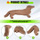 Prato de Jantar de Cachorro Dachshund de 15,7 Polegadas TáBua de Queijo de Corte TáBua de Charcutaria Bonito Jantar de Natal 2
