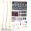 4.5V-5.5V 6-Bit Digital Circuit Clock Kit, Electronic Clock Teaching and Practical Training, Welding and DIY Parts 3