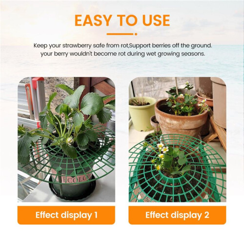 15 Pack Strawberry Plant Supports Strawberry Growing Support Rack Avoid Rot Frame  Strawberry Growing Tool 2