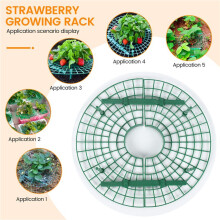 15 Pack Strawberry Plant Supports Strawberry Growing Support Rack Avoid Rot Frame Strawberry Growing Tool