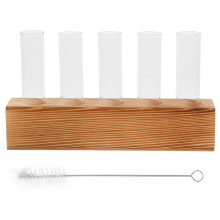 4Sets Hydroponische Glazen Buizen En Plantpropagator Voor Desk
