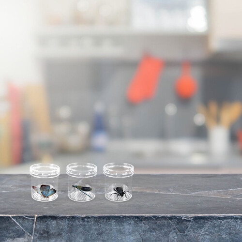 12St Ps Opbergdozen Met Vergrootglas Voor Kinderen 1