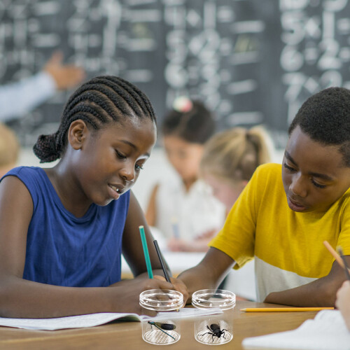 12St Ps Opbergdozen Met Vergrootglas Voor Kinderen 2