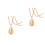 2St Rozen Essential Oil Ketting Met Urn En Diffuser Hanger 5