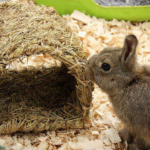 Grass House Tunnel Hutch Woven Hut para Postura ou Sono Comestível Mastigação Casa para Coelhos Chinchilas e Pequenos Animais