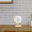2Pièces Kit Globe En Bois Mousse Décor Éducatif Pour Enfants 11