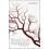 Blood Lines by Juliet Robertson Paperback Book 1