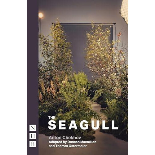The Seagull by Anton Chekhov Paperback Book