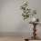 Superfresco Easy Superfresco Easy Hearthbound Texture Stone Wallpaper 4