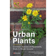 A Field Guide to Urban Plants by Julia Krohmer Paperback Book