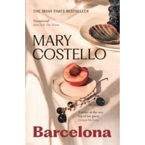Barcelona by Mary Costello Paperback Book