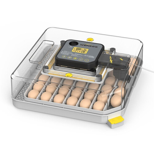 EggIncubator for Hatching Eggs with Automatic Egg Turning and Auto Humidification,Temperature Control for ChickenEgg(US)