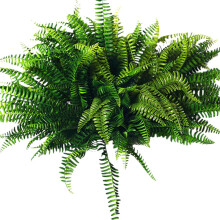 10Pcs Artificial Boston Fern Bush Plastic Plant Hanging Fake Greenery Home Decor