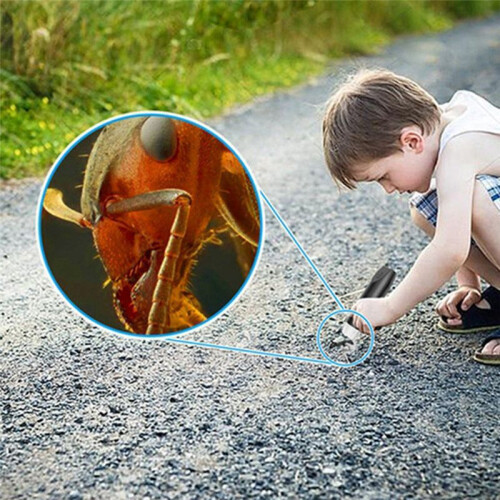 Wireless Digital Microscope 50X-1000X WiFi USB Portable Handheld Coin Microscope Camera with 8 LED Black 2