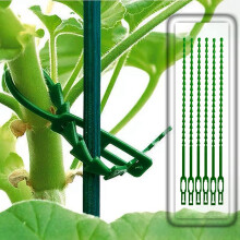 30Er-Pack PflanzenstüTzpfäHle, Einstielige GartenpflanzenstüTzpfäHle, PflanzenstüTze, PflanzenstäBe