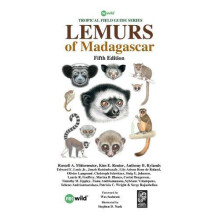 Lemurs of Madagascar by Laurie R Godfrey Paperback Book