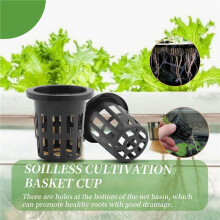 100 Pack 1.96 Inch Net Cups Slotted Mesh Wide Lip Filter Plant Net Pot Bucket Basket for Hydroponics Aquaponics Orchids
