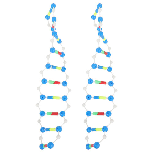6St Educatief Dna Model Kit Plastic Kleurrijk Experiment 1