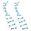 6St Educatief Dna Model Kit Plastic Kleurrijk Experiment 3