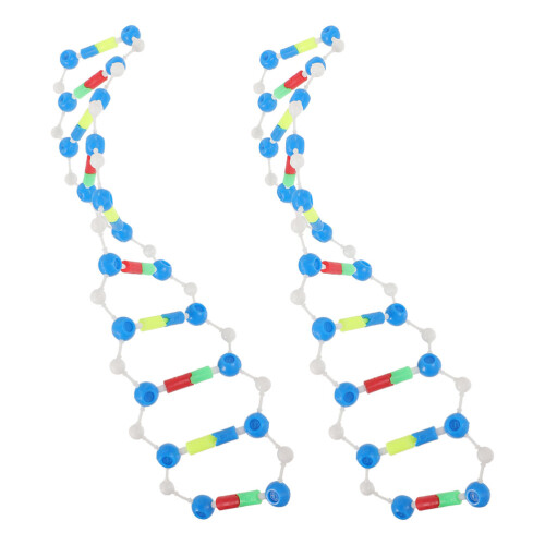 6St Educatief Dna Model Kit Plastic Kleurrijk Experiment 2