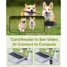 Cat Camera Collar with Video Recording,with 16G Card 1080p HD Action Sport Cam,All Activities Pet Supplies/Stuff