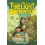 The Firelight Apprentice by Bree Paulsen Paperback Book 1