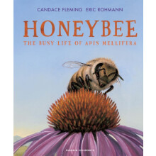 Honeybee by Candace Fleming Hardcover Book