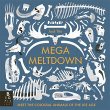 Mega Meltdown by Jack Tite Paperback Book