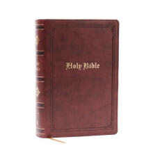 KJV Holy Bible Personal Size Giant Print Brown Leathersoft Red Letter