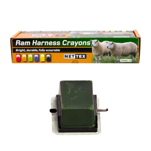 (One Size, Green) Nettex Cold Crayons (Pack of 10)