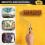 M60 Seaweed Sponge Roller Brush Imitation Seaweed Sponge Roller Pattern Liquid Wallpaper Paint Texture Tool 5