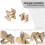 2Pcs Brass Watch Movement Holder Fixed Base Multi Function for Watchmaker Watch Clamp Watches Repair Tools 7