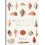 Beautiful Shells by Carnall Mark B.Sc. Hons M.A. Hardcover Book 1