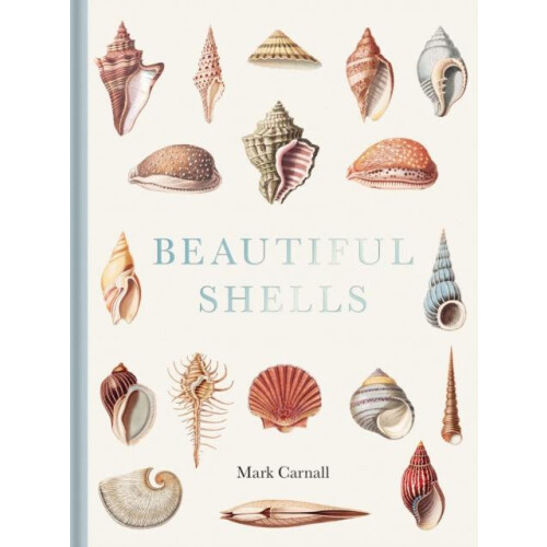 Beautiful Shells by Carnall Mark B.Sc. Hons M.A. Hardcover Book