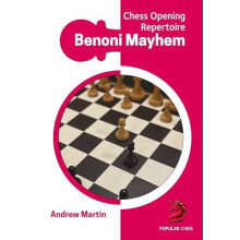 Benoni Mayhem by Andrew Martin Hardcover Book