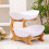 Fruit Tray Racks Table Plates Dinnerware Kitchen Fruit Bowl Partitioned Candy Cake Trays Tableware Dishes B 3