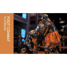 Foot Combat Flipbook by Royal Armouries Paperback Book