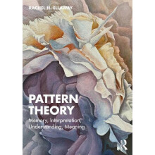 Pattern Theory by Rachel H. Ellaway Paperback Book
