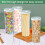 PP Tall Food Storage Spaghetti Noodle Pasta BehåLlare med LåSande Lock Klar Torrfoder, LjusgröN 4