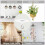 10Pcs Adhesive Ceiling Hooks for Popcorn Concrete Textured Ceiling Wall Surface, No Drilling Self Adhesive Ceiling Hooks 4