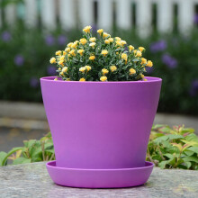8 Pcs 4 inch Small Plant Pots Colorful Plastic Flower Pots Indoor Plant Pots for Office House Desk with Pallet/Trays