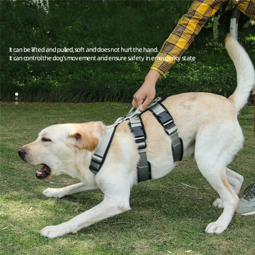 Explosionproof  Dogs Harness with Handle Durable Adjustable Pet Chest Straps for Large Dog, , M 2