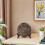 2Pcs Elegant Bamboo Recipe Holder - Kitchen Counter Organizer in Brown 4