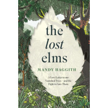The Lost Elms A Love Letter to Our Vanished Trees and the Fight to Sav