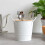 Kitchenware Cooking Tools Storage Rack Cutlery Rack Storage Box Kitchen Storage Rack Chopsticks Bucket B 8