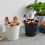 Kitchenware Cooking Tools Storage Rack Cutlery Rack Storage Box Kitchen Storage Rack Chopsticks Bucket B 5