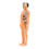 3Sets Anatomie Modelle, 3D Kinder Puzzle, - Und Spielzeug 1