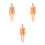 3Sets Anatomie Modelle, 3D Kinder Puzzle, - Und Spielzeug 10