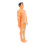 3Sets Anatomie Modelle, 3D Kinder Puzzle, - Und Spielzeug 2